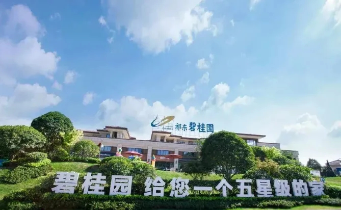 碧桂園爆雷，專家建議國家出手相救，同時購買前20房企住房